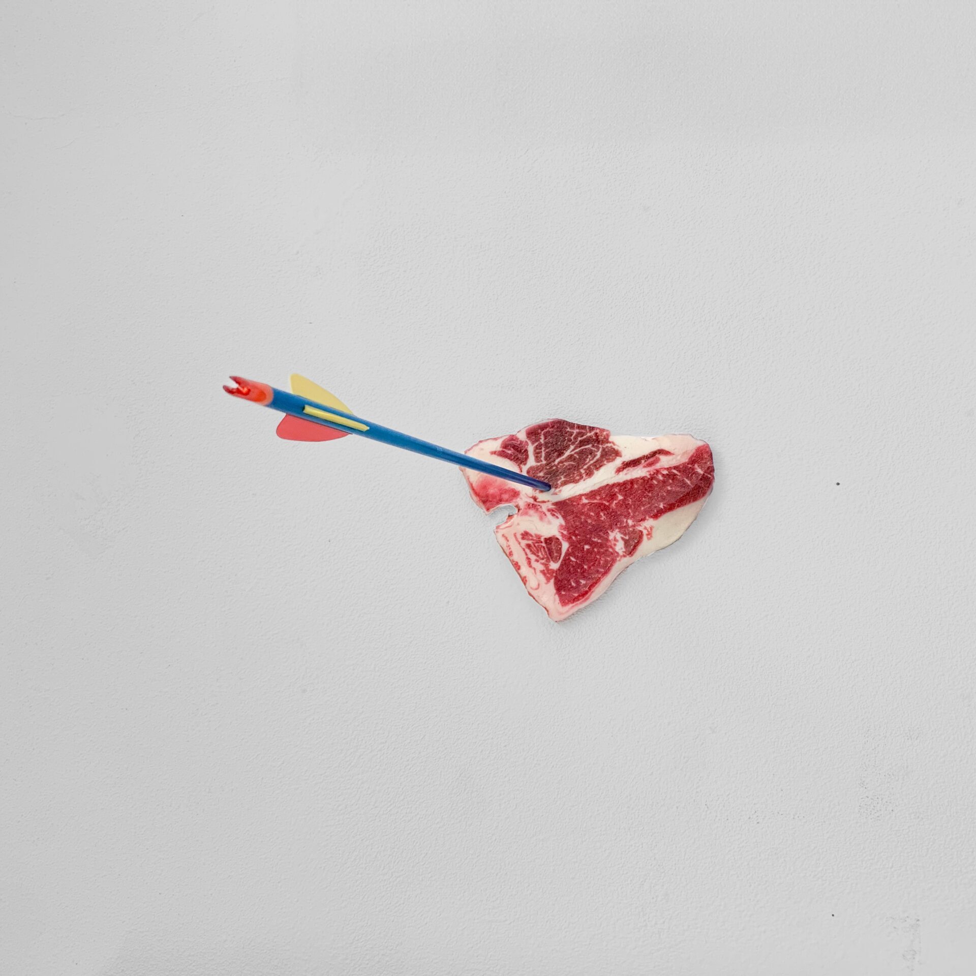 Geke Schalkwijk The_new_hunt_tbone_[49]